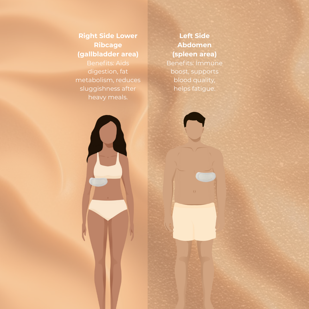 Disposable Castor Oil Wrap (10 pack)