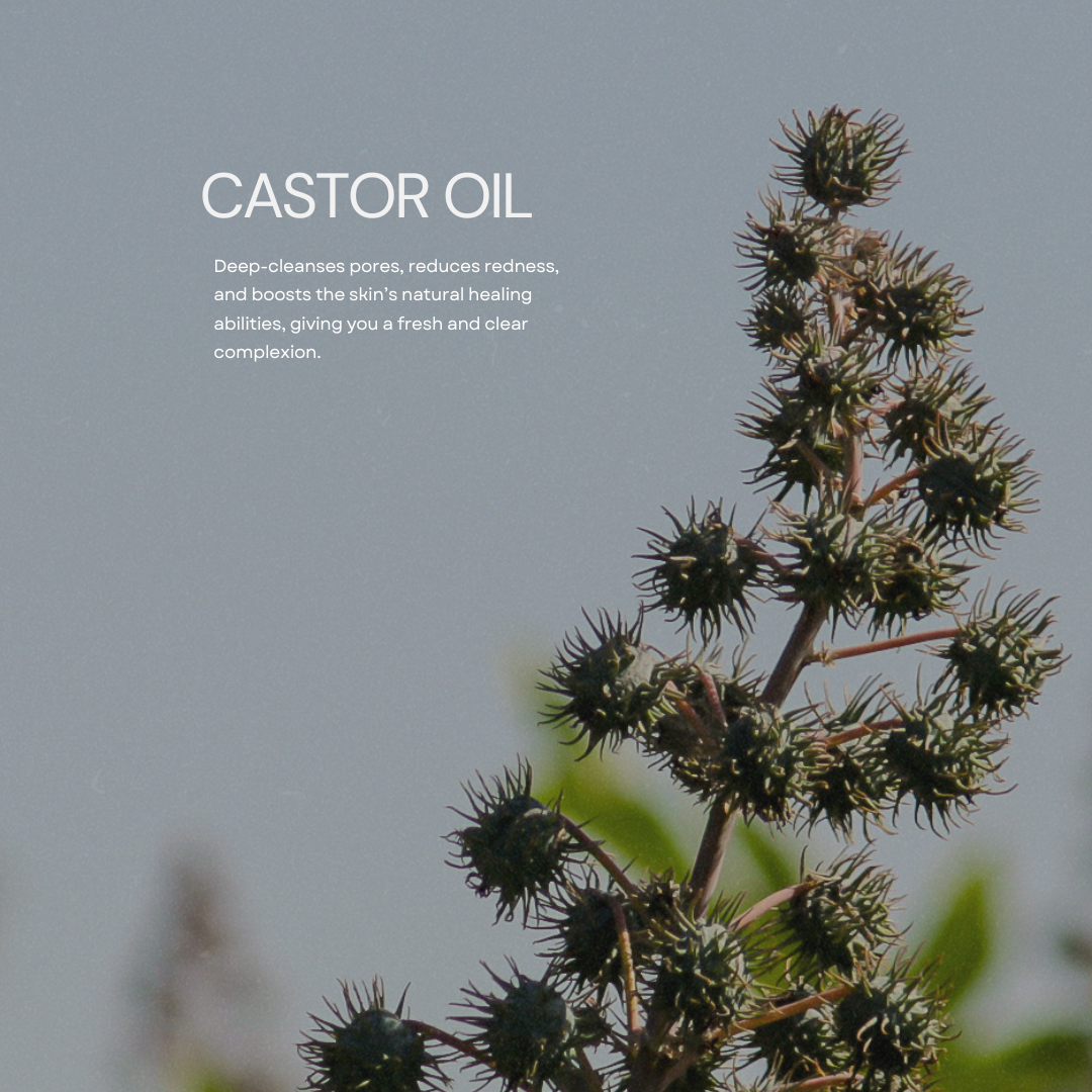 Outcast Powerhouse Blend