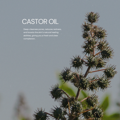 Outcast Powerhouse Blend