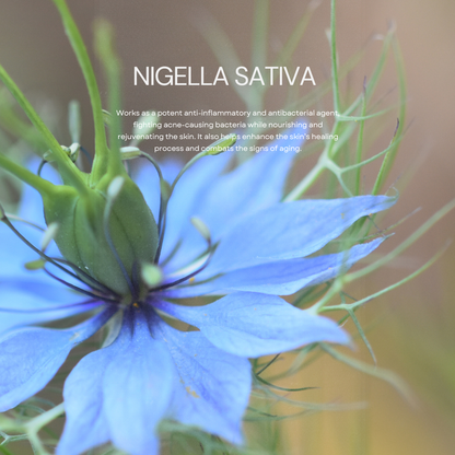 Outcast Powerhouse Blend